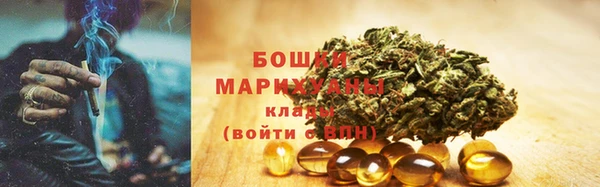 прущие грибы Вяземский
