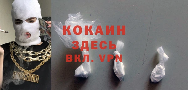 прущие грибы Вяземский