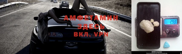 прущие грибы Вяземский