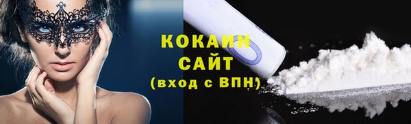 прущие грибы Вяземский