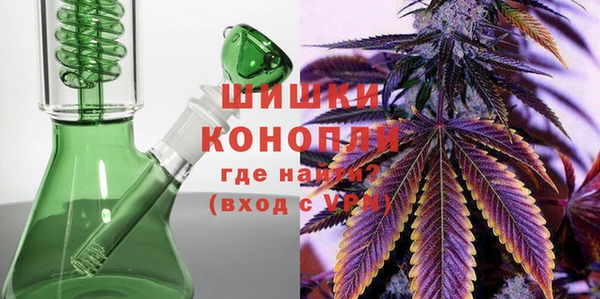 прущие грибы Вяземский