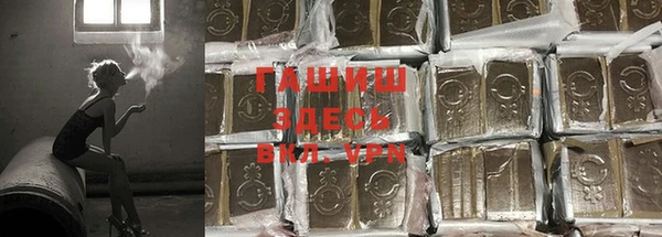 прущие грибы Вяземский