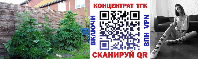 ТГК Wax  наркошоп  Калач 